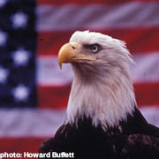 World Wildlife Fund click here